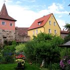 Mauerblümchen und Flurersturm