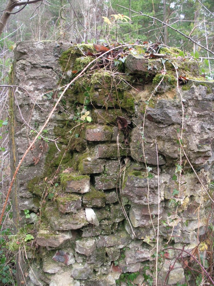 mauern einer alten aufbereitungsanlage die langsam wieder erobert werden von der natur