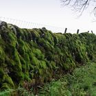 Mauern in den Yorkshire Dales