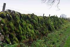 Mauern in den Yorkshire Dales