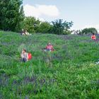 MauerPark - 9