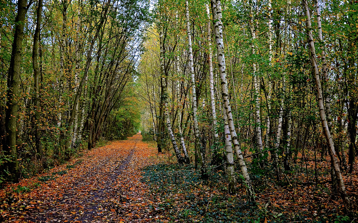 Mauerradwanderweg