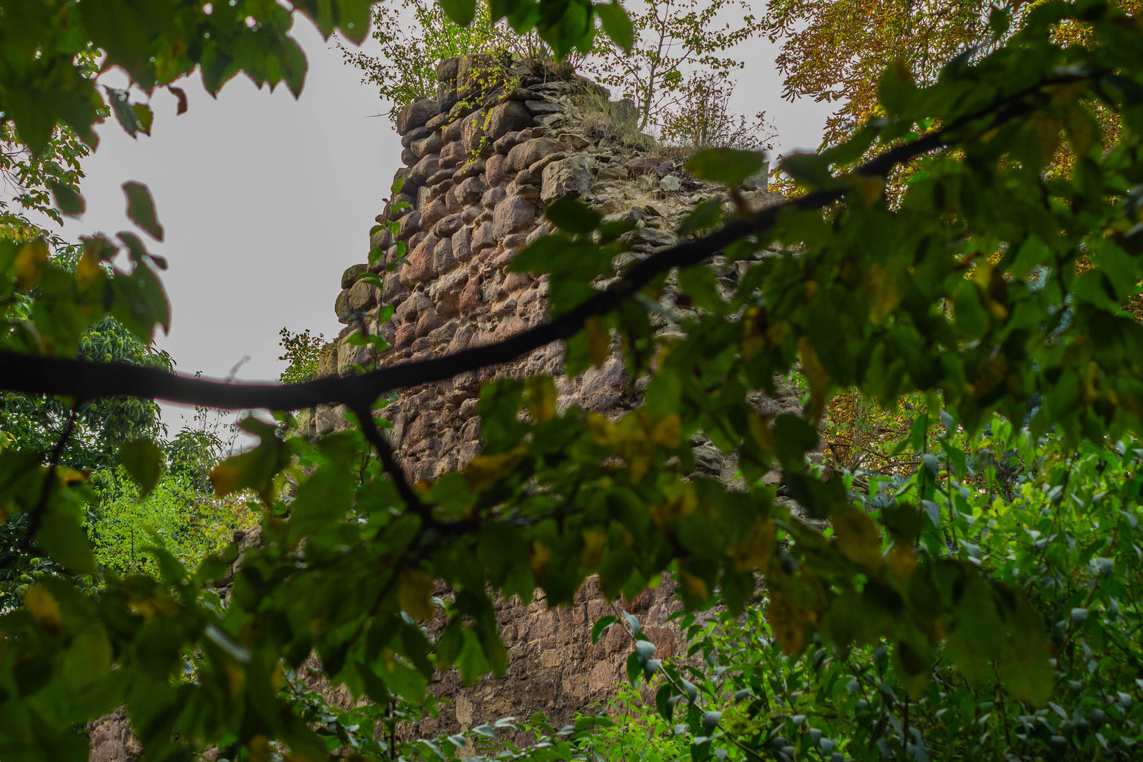 Mauerruine im Park Schloss Veltheimsburg-Bebertal