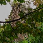 Mauerruine im Park Schloss Veltheimsburg-Bebertal