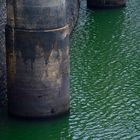 Mauertrurmsokkel auf Wasserniedrigststand nach regenarmer Periode