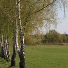 Mauerweg im Frühling