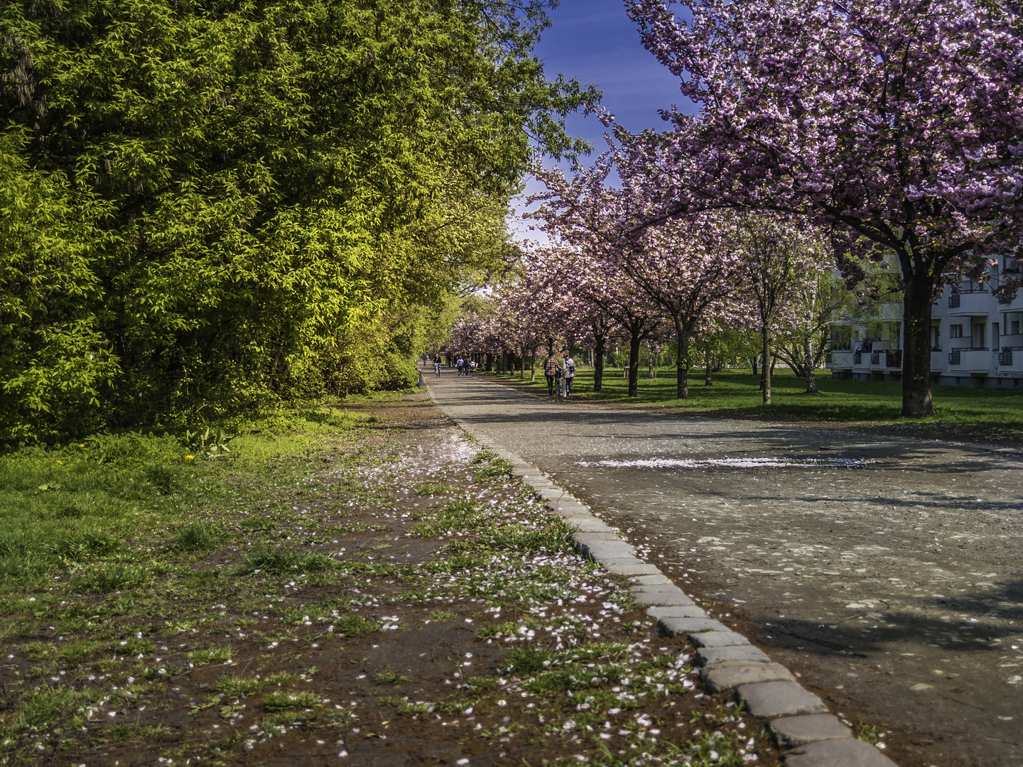 Mauerweg Treptower Park in Berlin