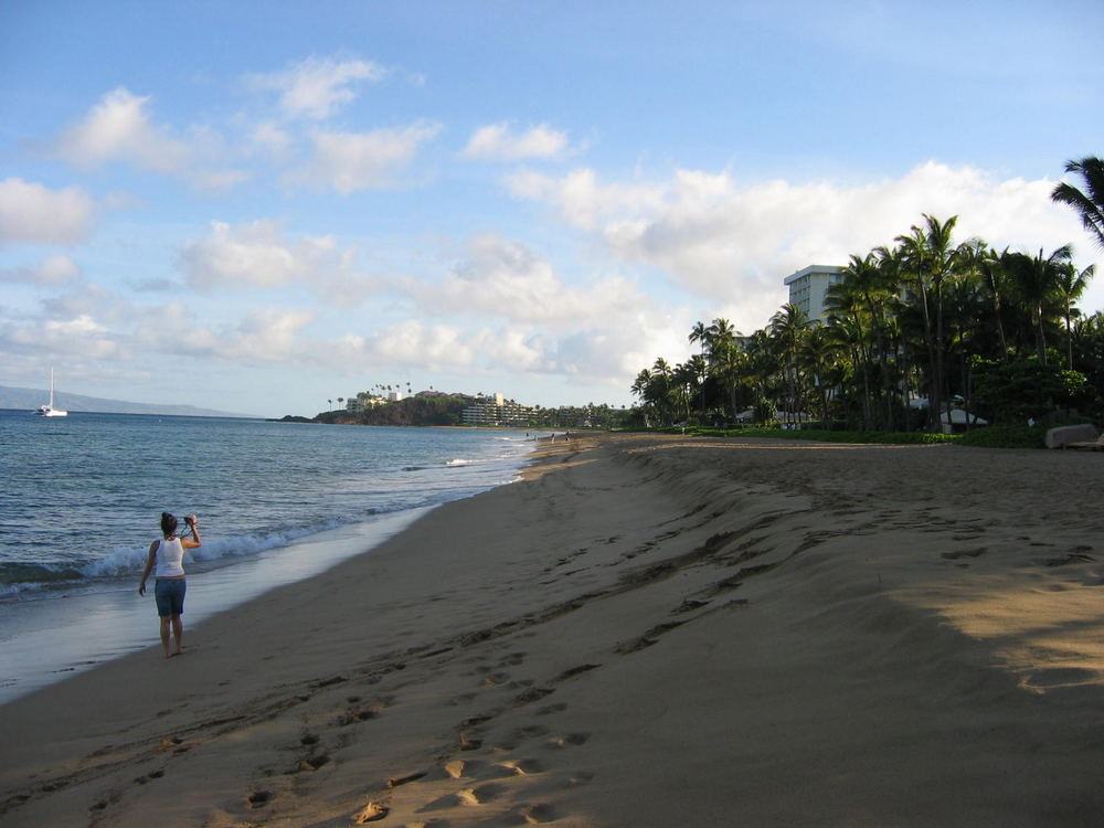 Maui Beach