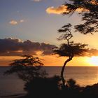 Maui Beach Sunset