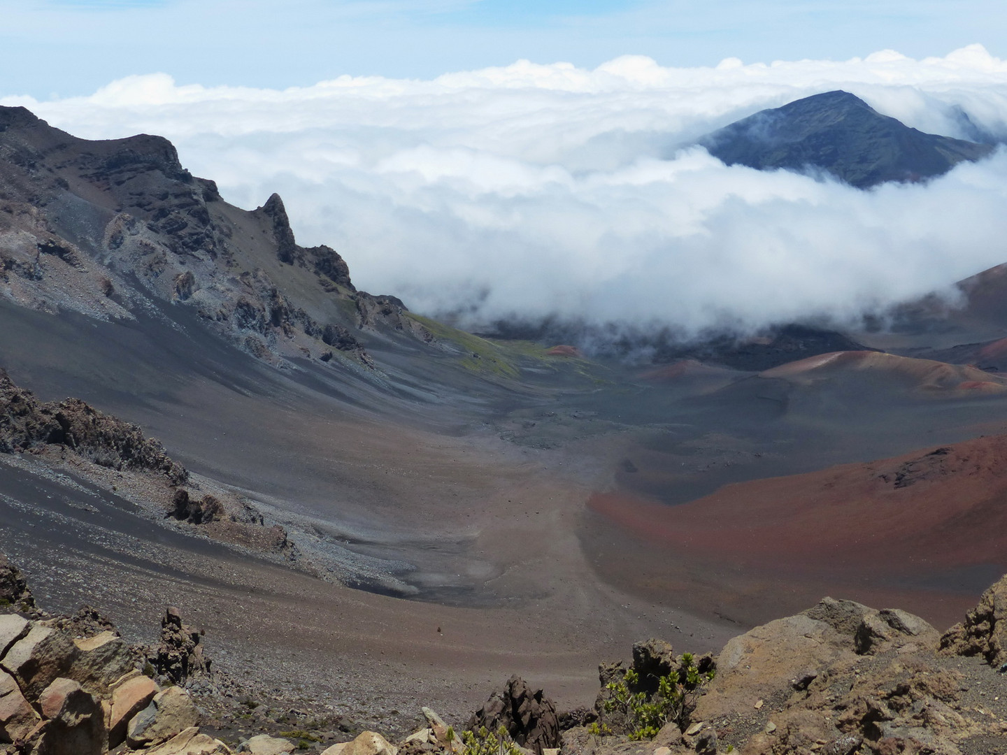 Maui, Haleakala N.P. II