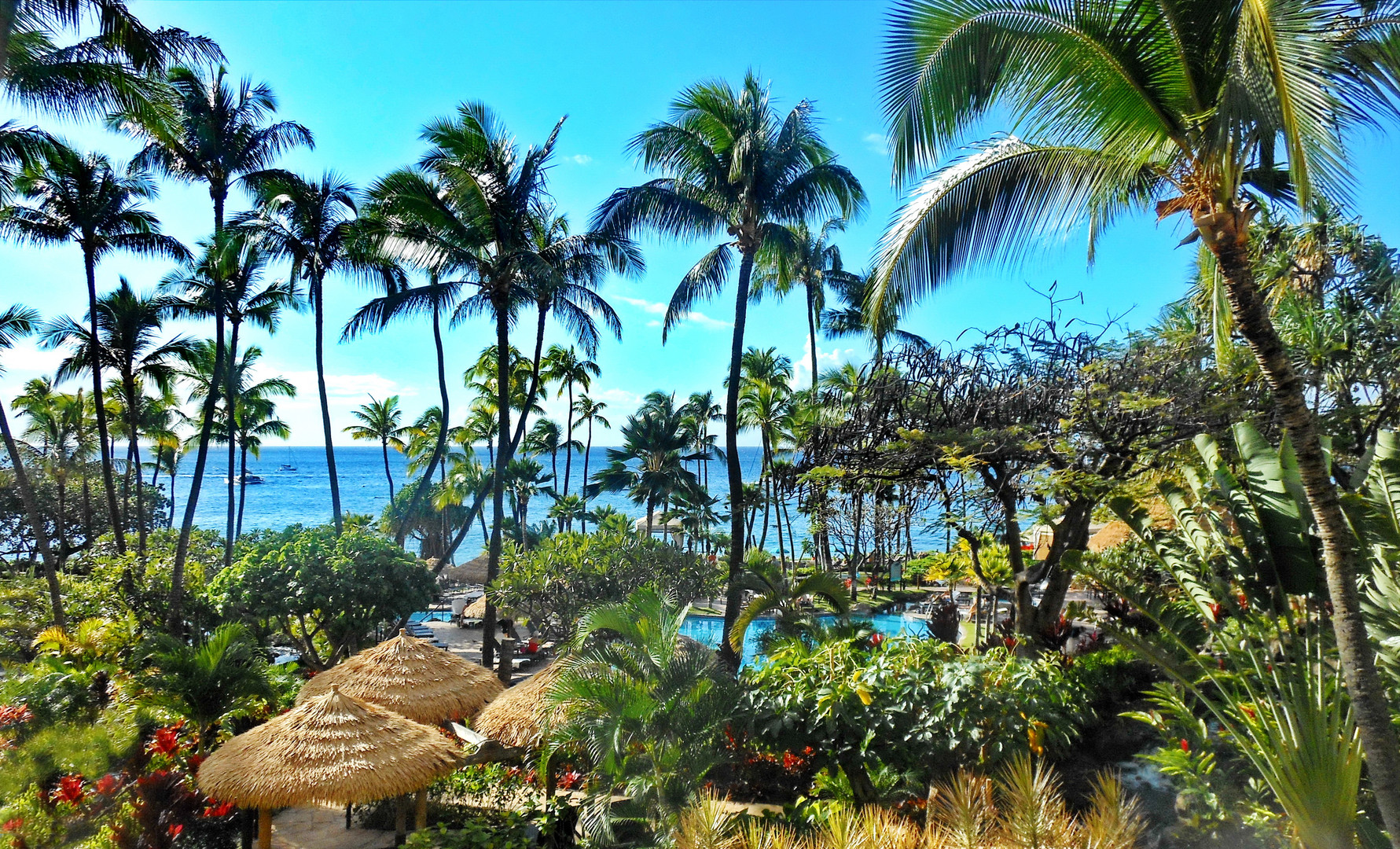 Maui, Ka'anapali Tropical Garden