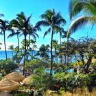 Maui, Ka'anapali Tropical Garden