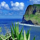 Maui: North Shore