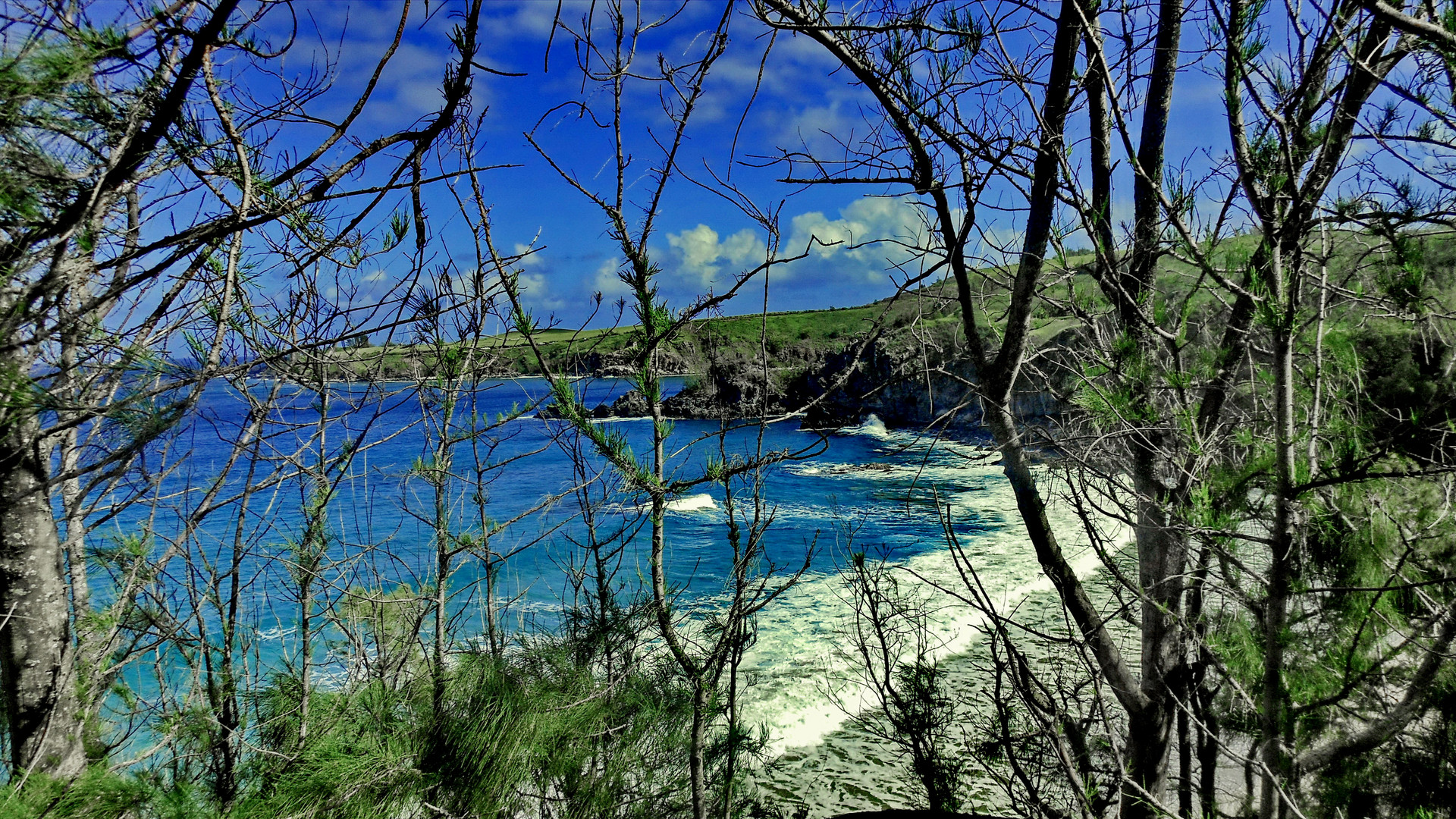 Maui, North Shore