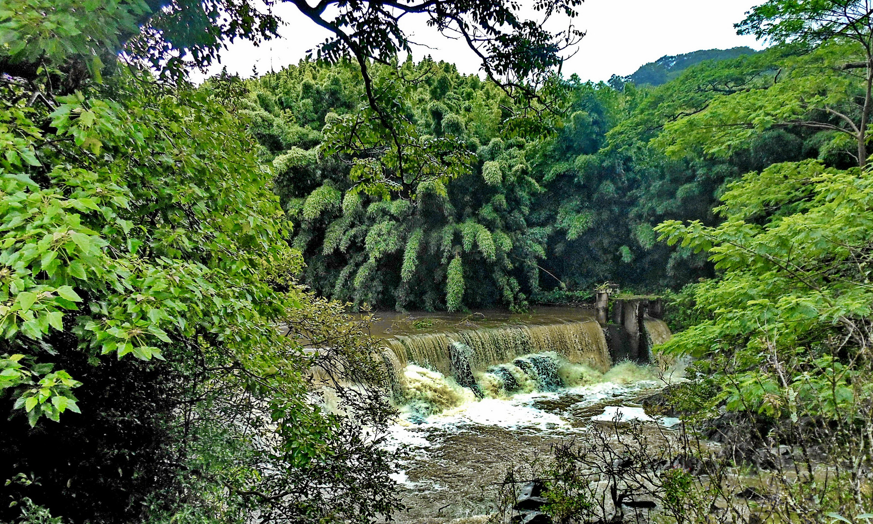 Maui, Road to Hana