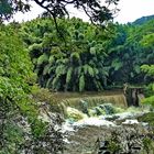 Maui, Road to Hana