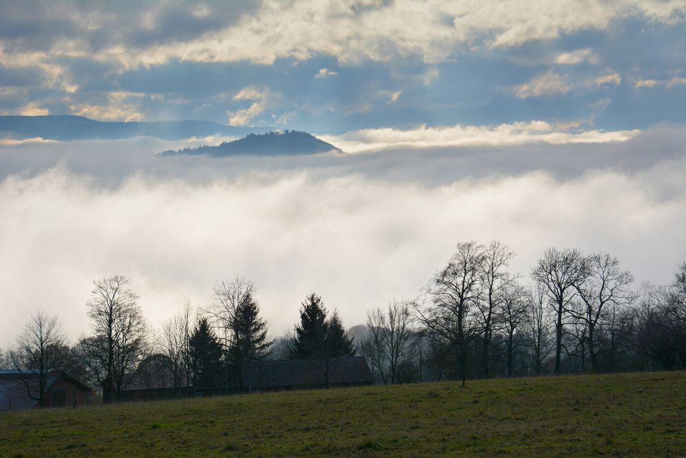 Maulkuppe 20.11.2019