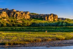 Maultierhirsche, Writing-on-Stone PP, Alberta, CA