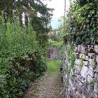 Maultierpfad bei Torno, Lago di Como