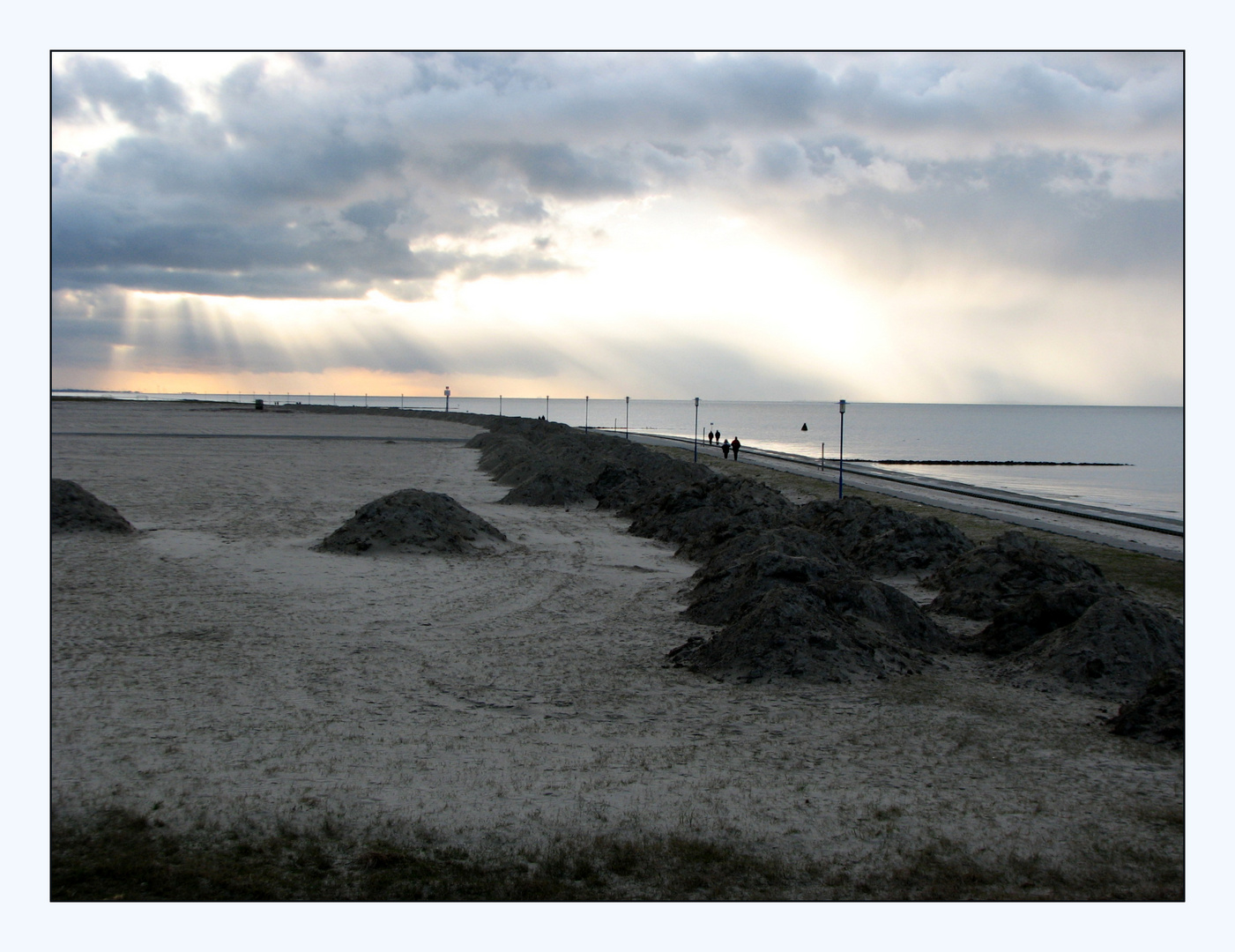 Maulwürfe am Meer ?