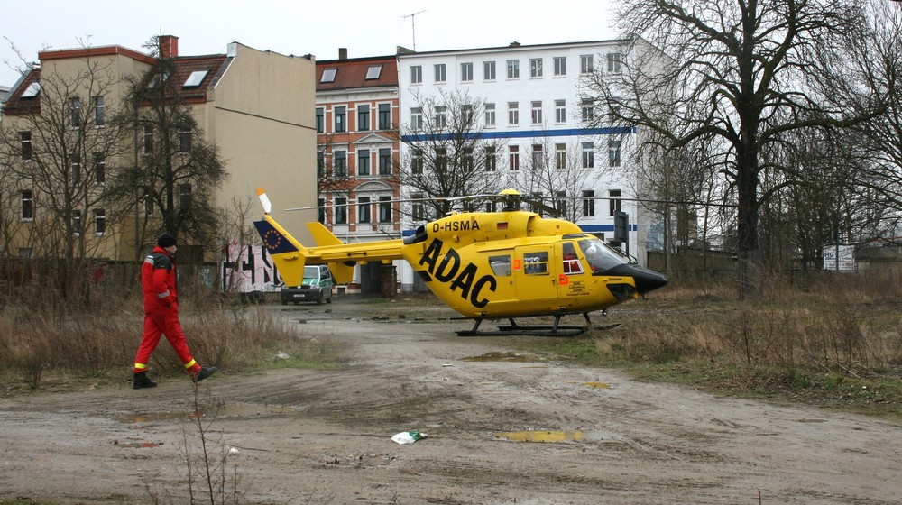 Maulwurf in der Petzscher Straße hat nach Ostereiern gesucht!!!!