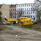 Maulwurf in der Petzscher Straße hat nach Ostereiern gesucht!!!!