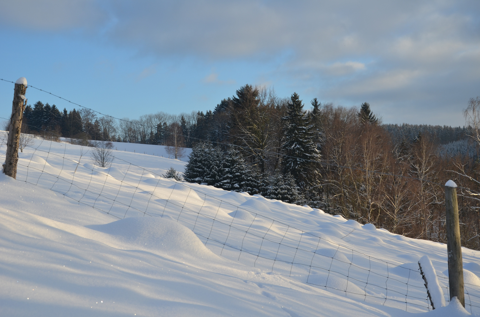 Maulwurfshügel im Schnee