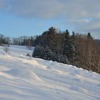 Maulwurfshügel im Schnee