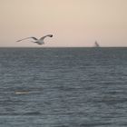 Maumee Bay Lighthouse