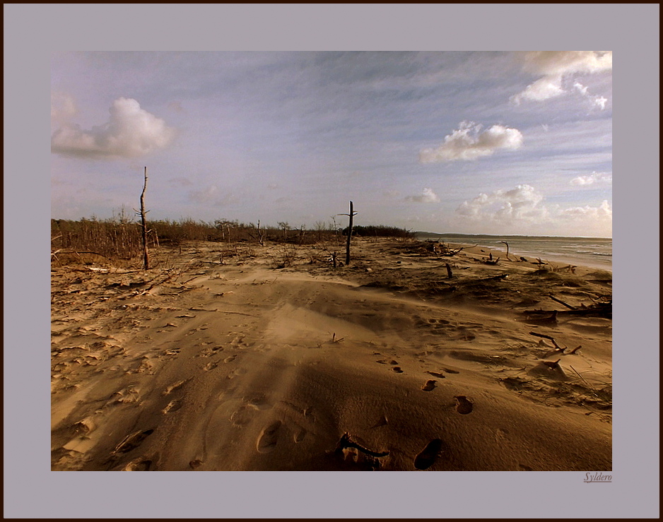 MAUMUSSON photo et image paysages, mers et océans, nature Images