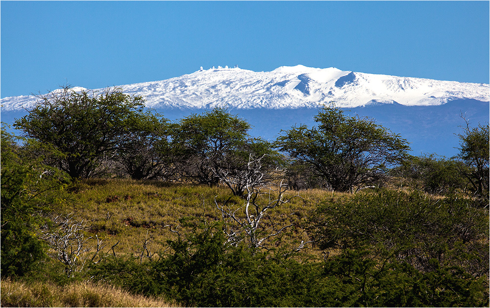 Mauna Kea / Hawaii Island