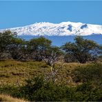 Mauna Kea / Hawaii Island