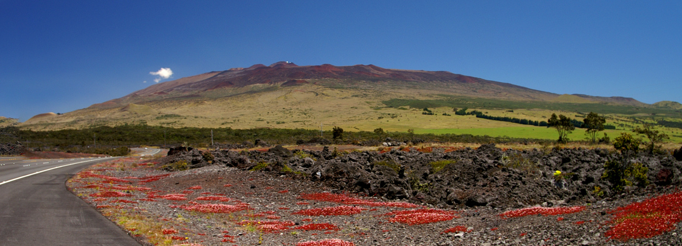 Mauna Kea Vulkan Hawaii