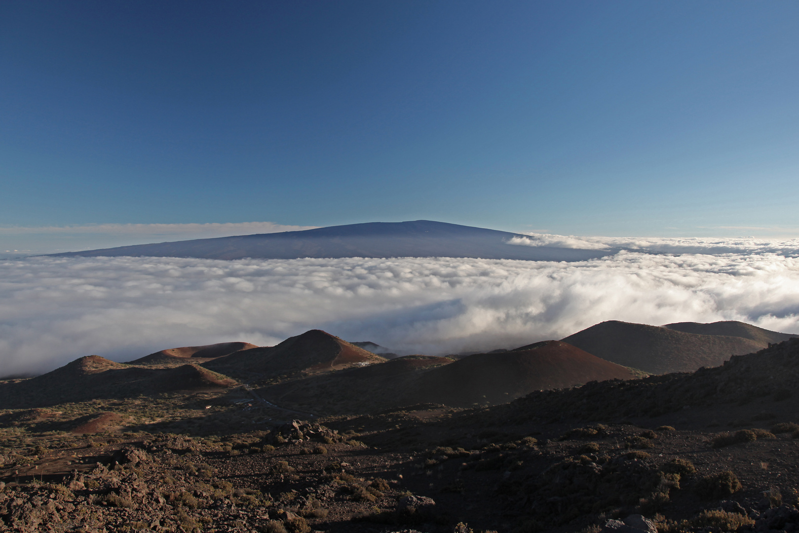 Mauna Loa