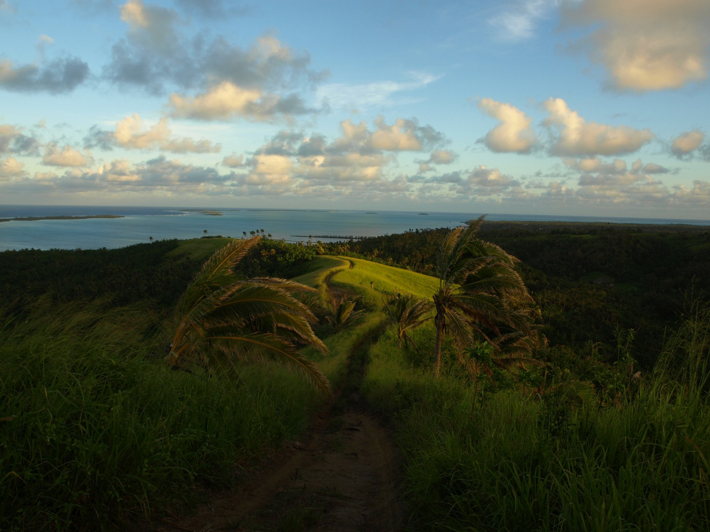 Maungapu Aussicht