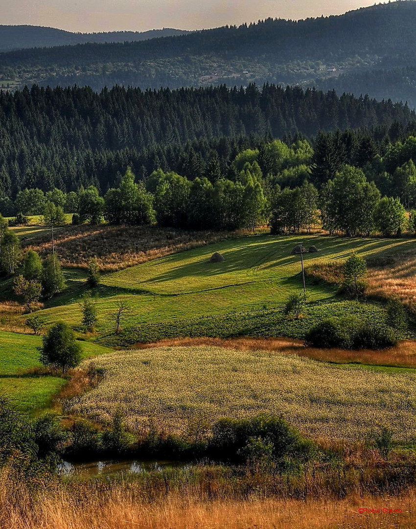 Mauntin Zlatar Akmadjici