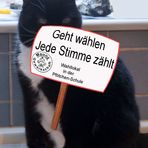 Maunz- Gewerkschaft NEUWAHLEN