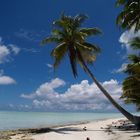 Maupiti Island/ French Polynesia