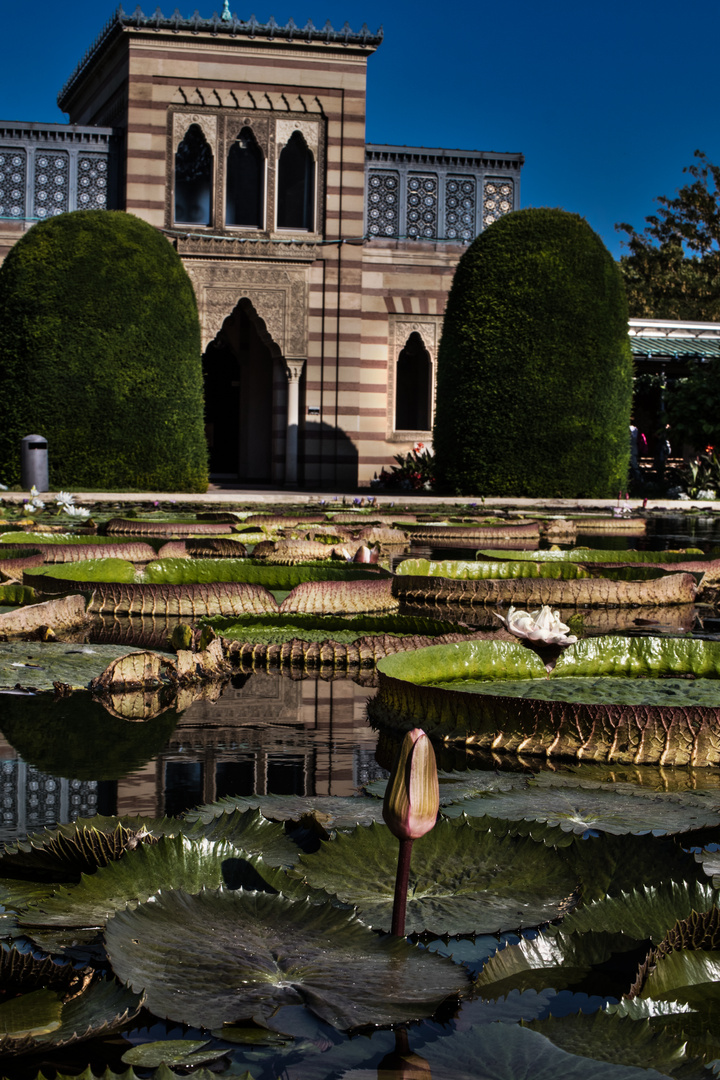 Maurischer Garten