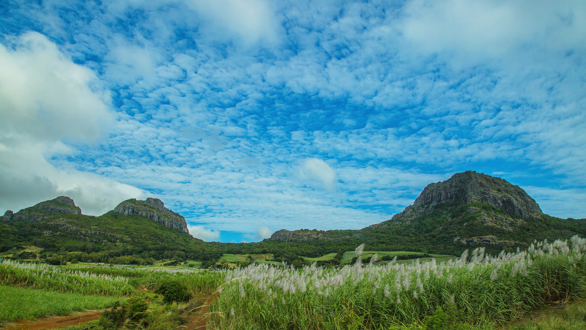 MAURITIUS