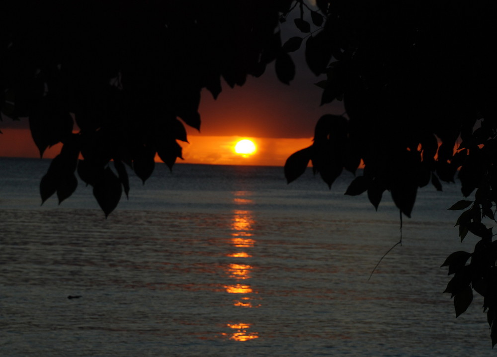 Mauritius von Sven Schönig 