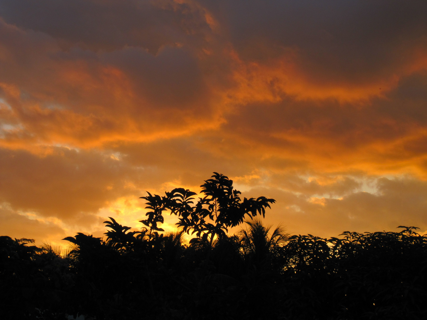 Mauritius