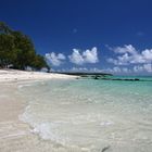 Mauritius - Ile aux Cerf II