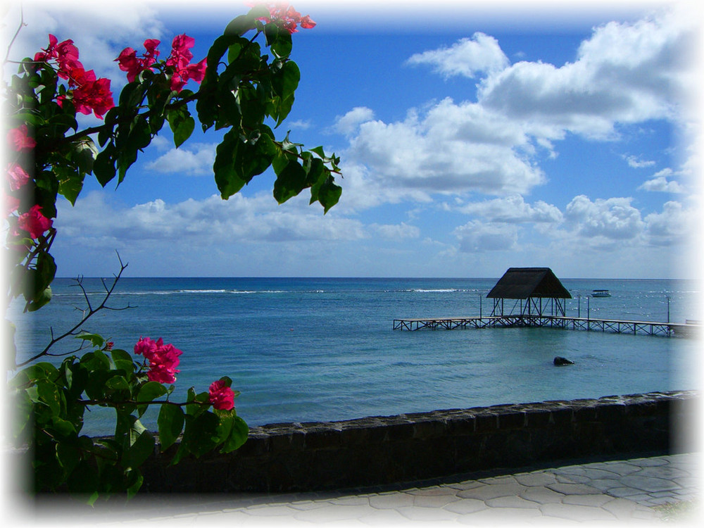 Mauritius - immer wieder toll