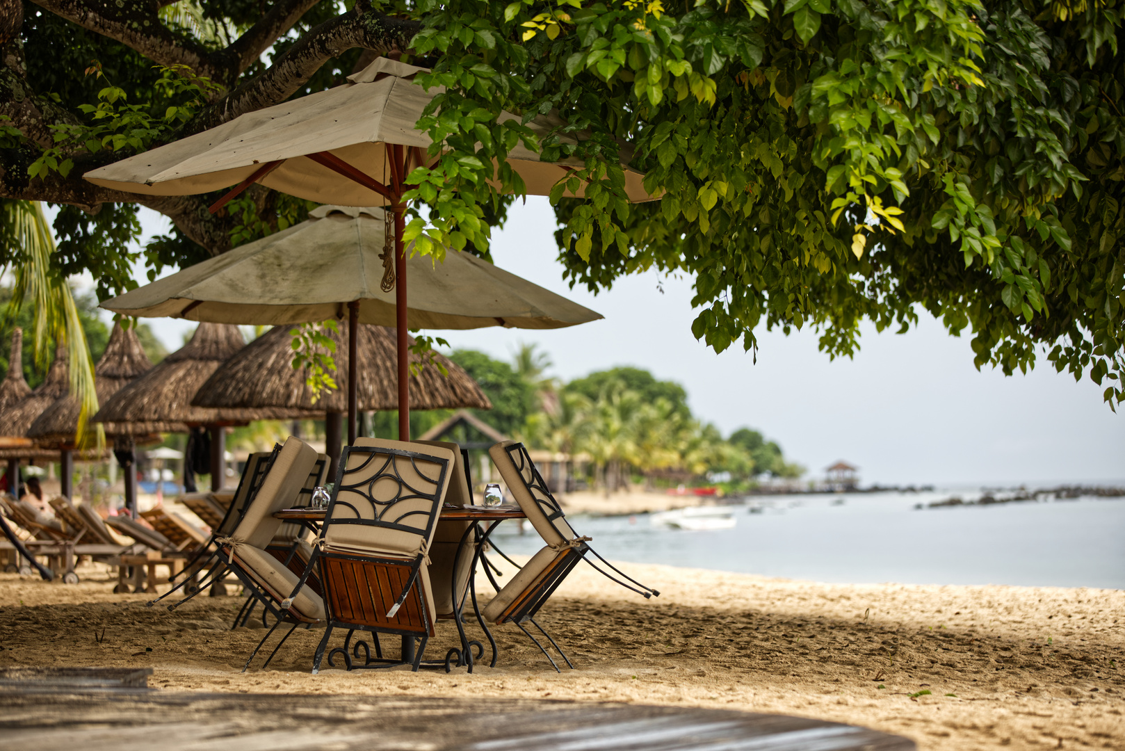 Mauritius , Indischer Ozean 