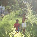 Mauritius Kinder