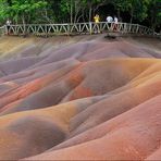 Mauritius - Île Maurice - Chamarel - Open-Air Galerie für die Naturfotografen