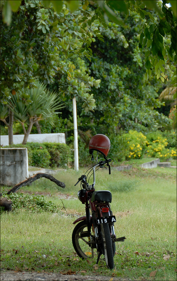 Mauritius - Île Maurice - Mittagspause (1)