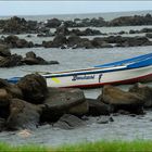 Mauritius - Île Maurice - Mittagspause (3)