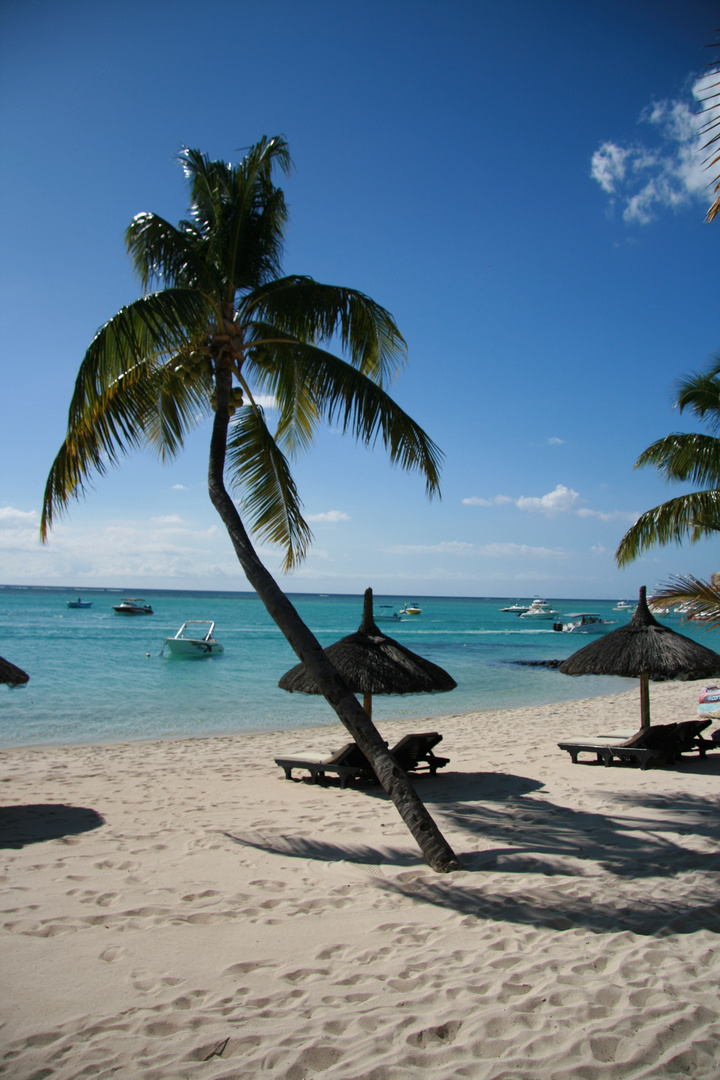 Mauritius (Le Morne / Inselsüdwesten) 10-2009